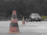 DIreção Segura Driver Trainning